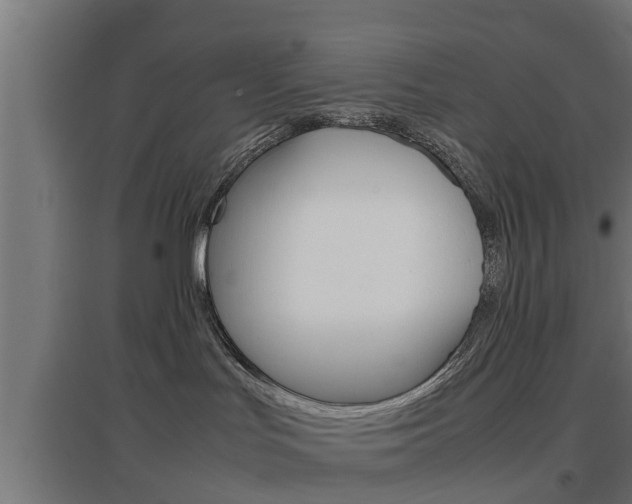 X0000097660047200802290932
