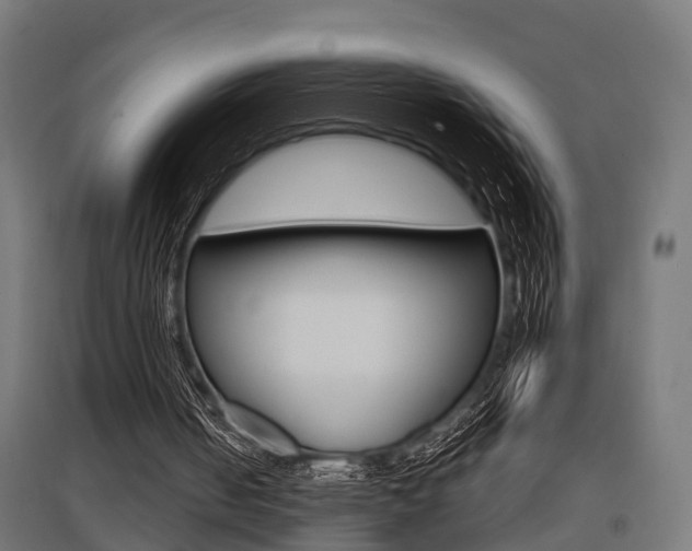 X0000097660050200802290931