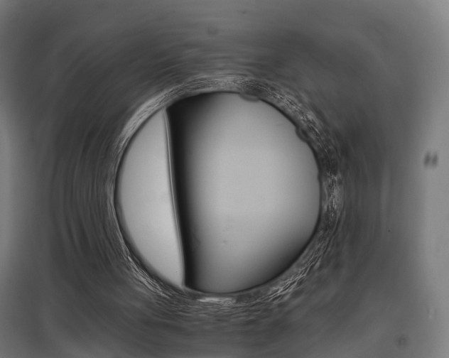 X0000097660051200802290931