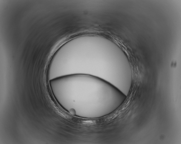 X0000097660053200802290931