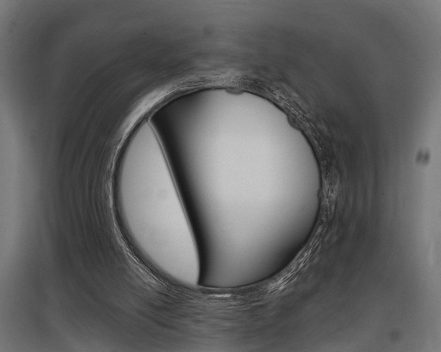 X0000097660054200802290931