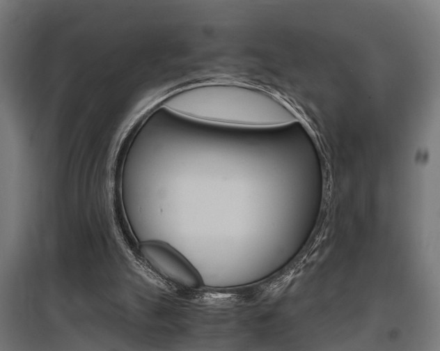 X0000097660055200802290931