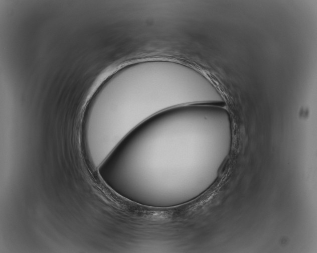 X0000097660056200802290931