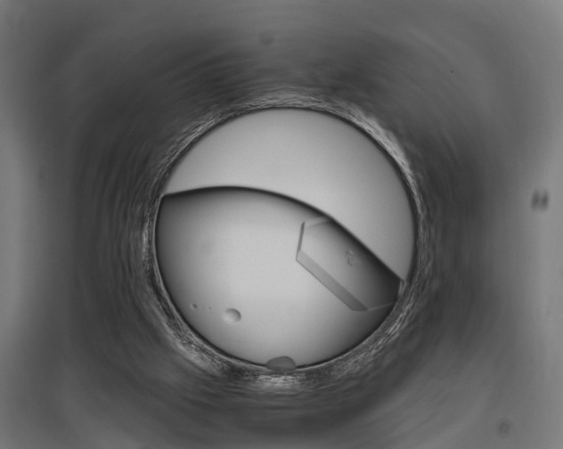 X0000097660057200802290931