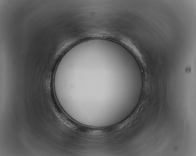 X0000097660058200802290931