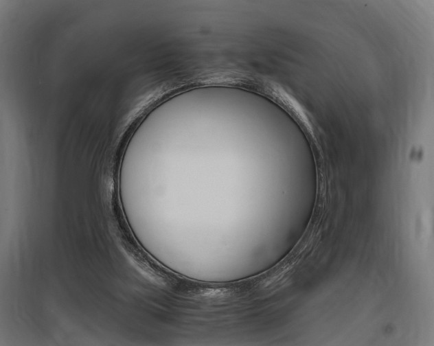 X0000097660059200802290931