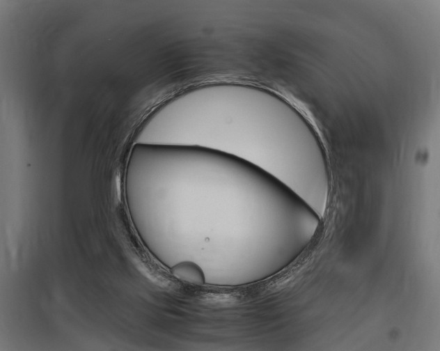 X0000097660061200802290932