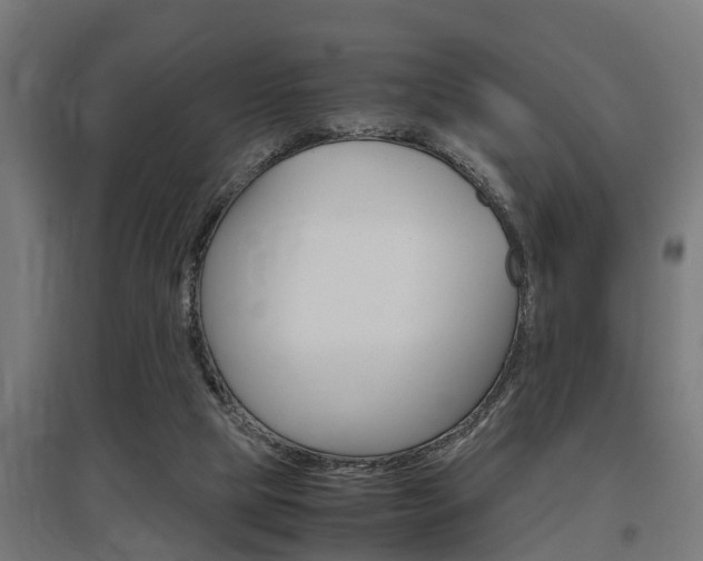 X0000097660065200802290932