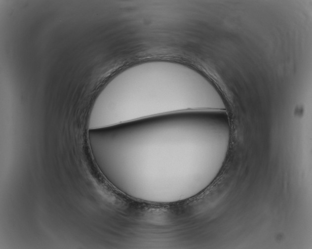 X0000097660066200802290932