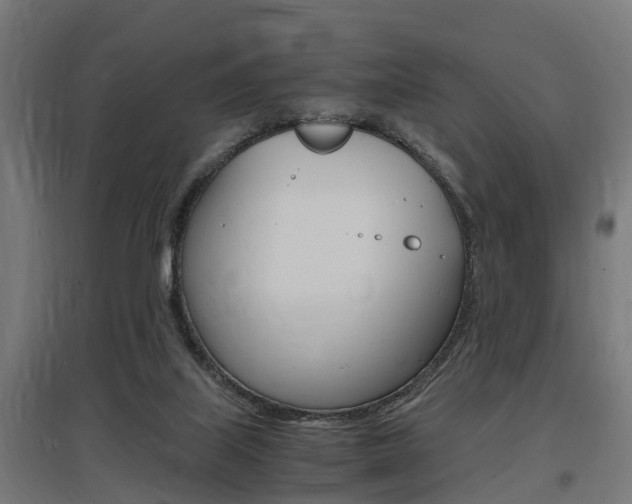 X0000097660067200802290932