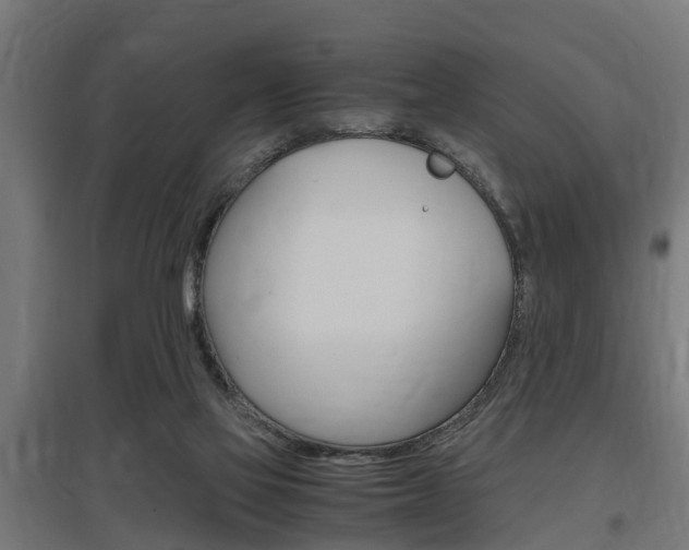 X0000097660069200802290932