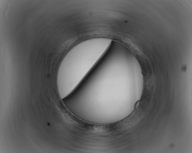 X0000097660070200802290932