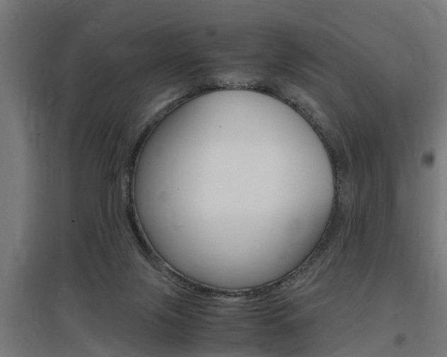 X0000097660071200802290932