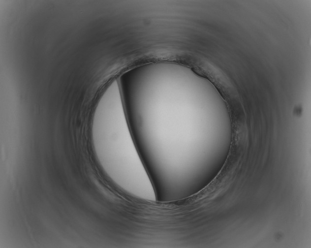 X0000097660072200802290932