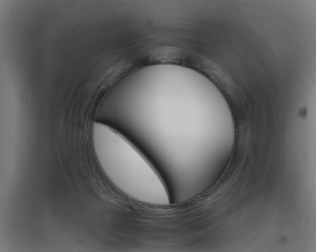 X0000097660073200802290932