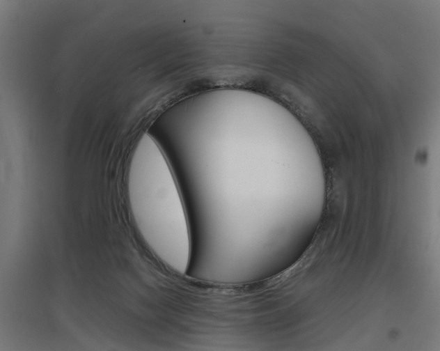 X0000097660074200802290932