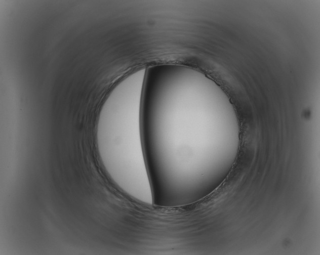 X0000097660076200802290932