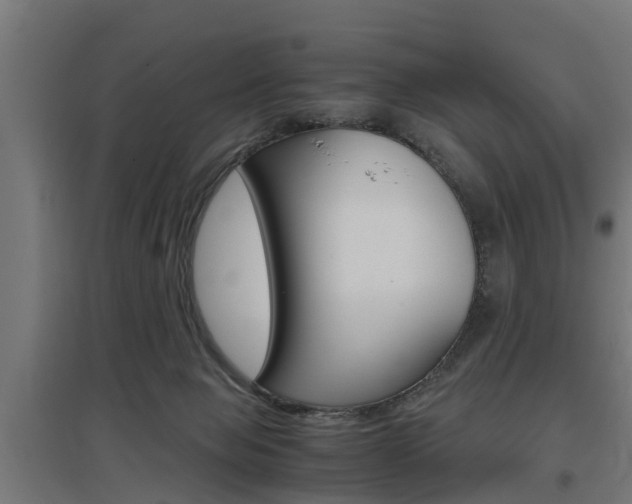 X0000097660077200802290932