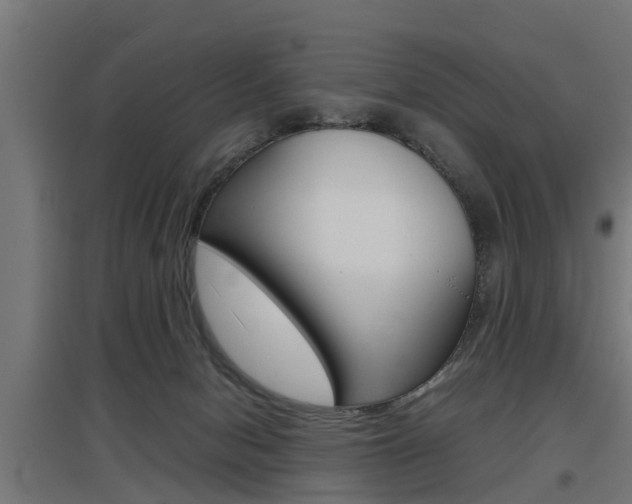 X0000097660078200802290932
