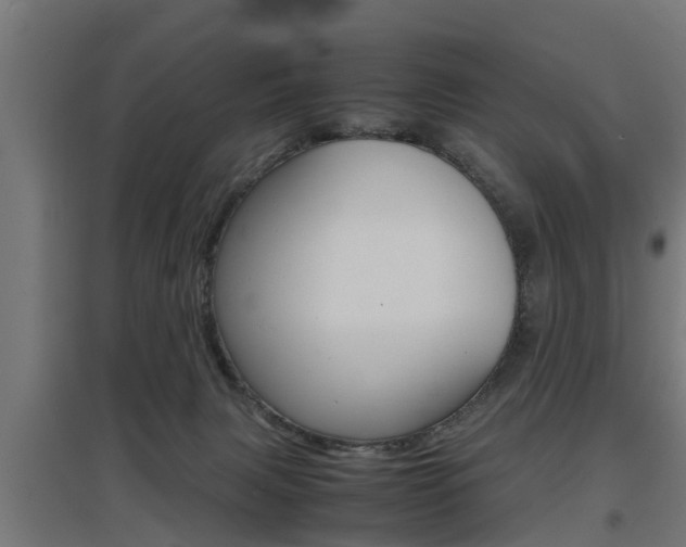 X0000097660079200802290932