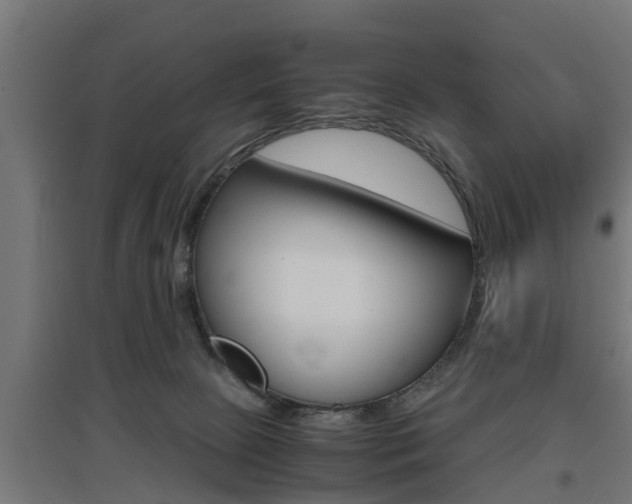 X0000097660081200802290932