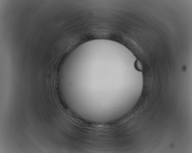 X0000097660083200802290932