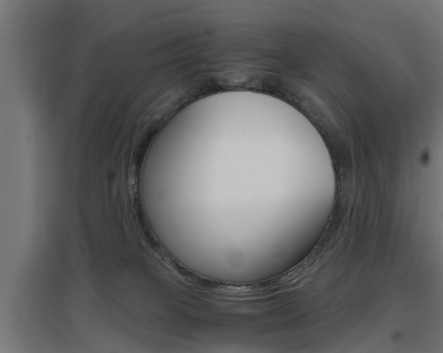 X0000097660085200802290932