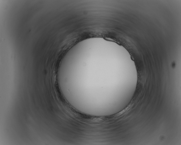 X0000097660086200802290932