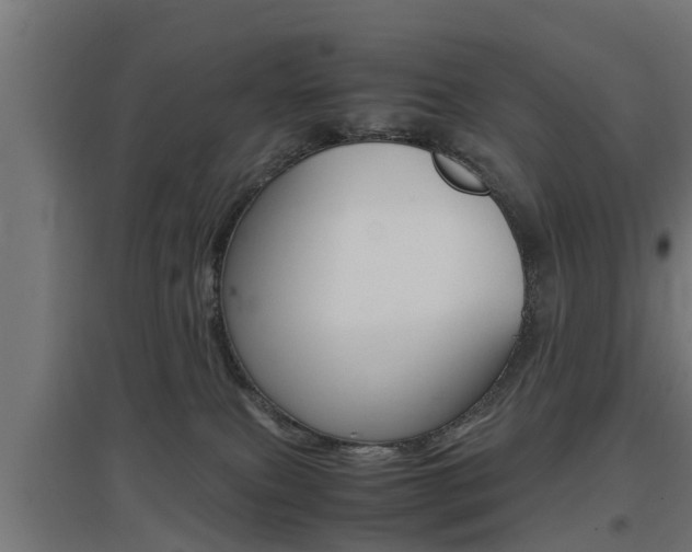 X0000097660087200802290932