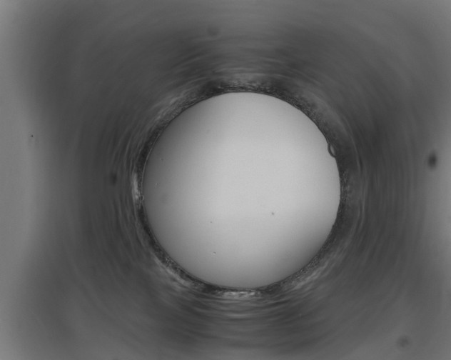 X0000097660089200802290932