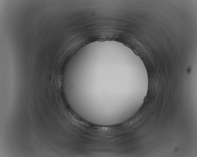 X0000097660091200802290932