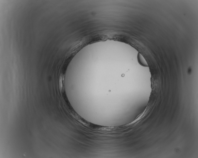 X0000097660094200802290932