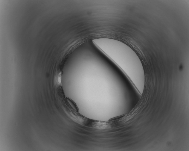 X0000097660095200802290932