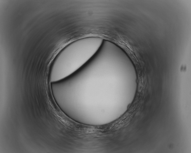 X0000097660098200802290931