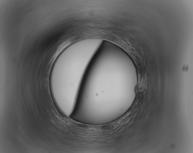X0000097660099200802290931