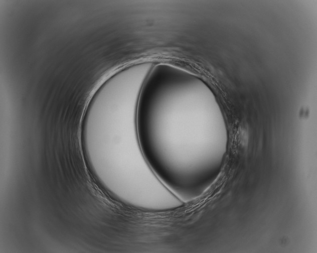 X0000097660100200802290931