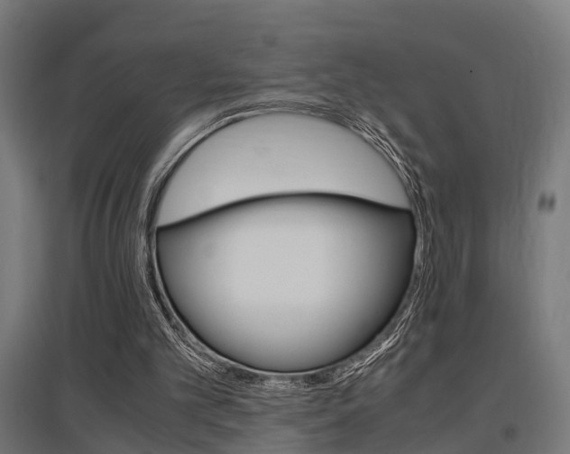 X0000097660101200802290931