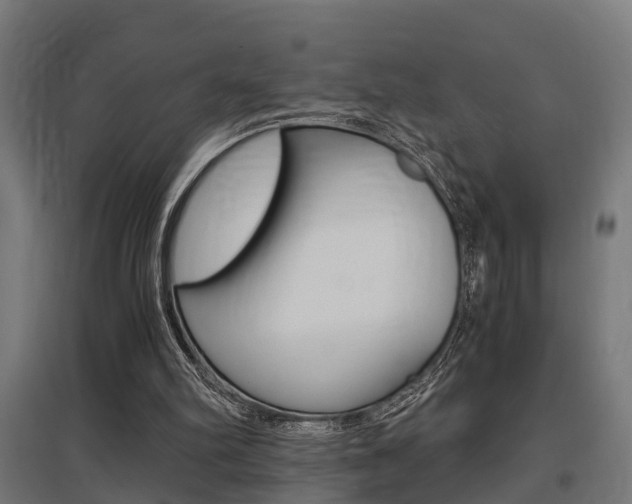 X0000097660102200802290931