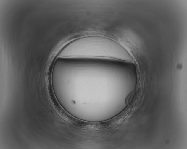 X0000097660103200802290931