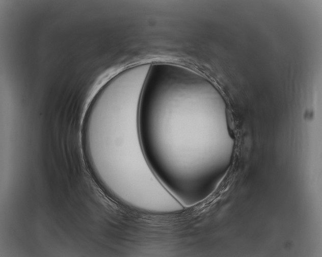 X0000097660104200802290931