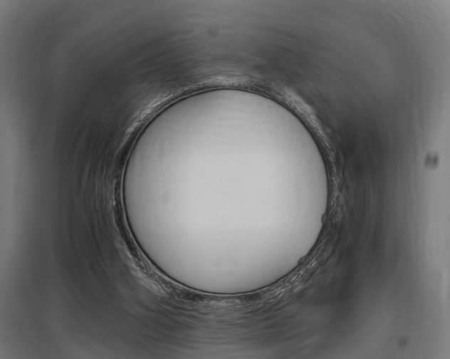 X0000097660106200802290931