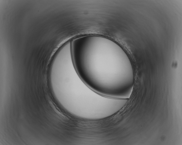 X0000097660108200802290931
