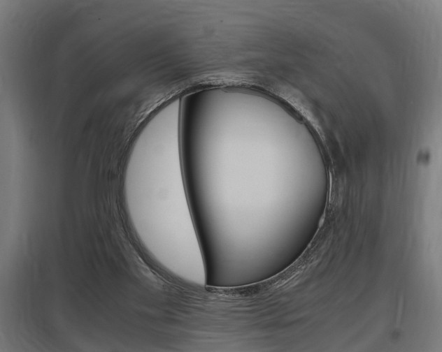 X0000097660109200802290931