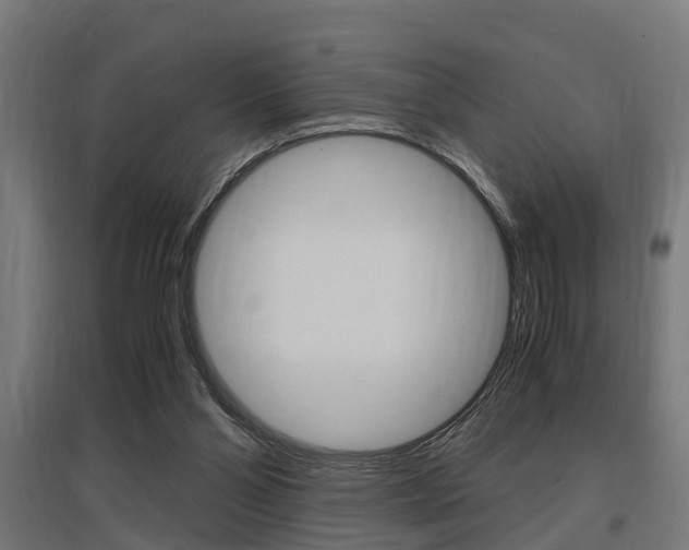 X0000097660110200802290931