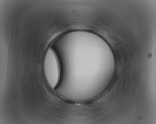 X0000097660111200802290931