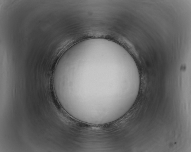 X0000097660114200802290931