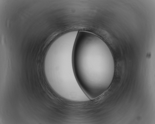 X0000097660116200802290931