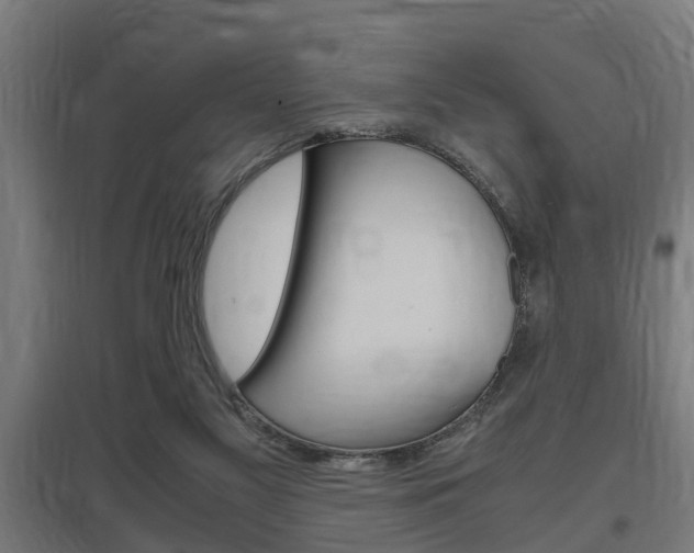 X0000097660117200802290931