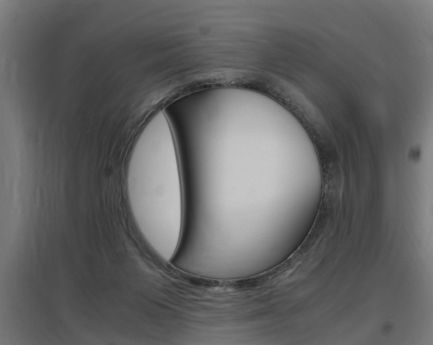 X0000097660119200802290931