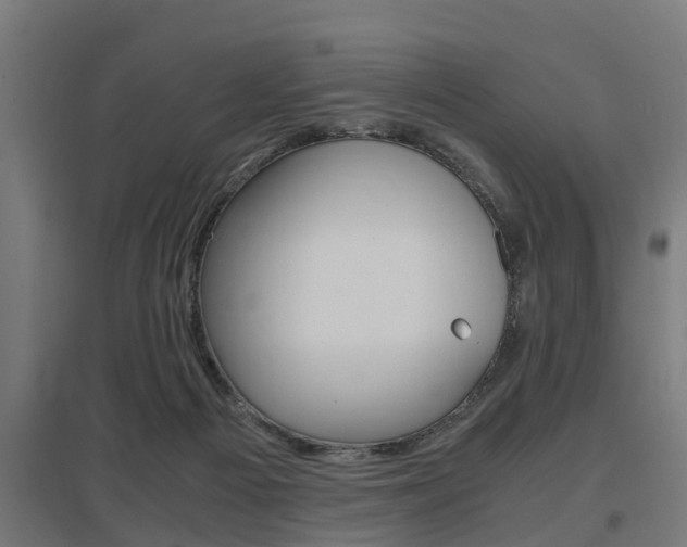 X0000097660121200802290931